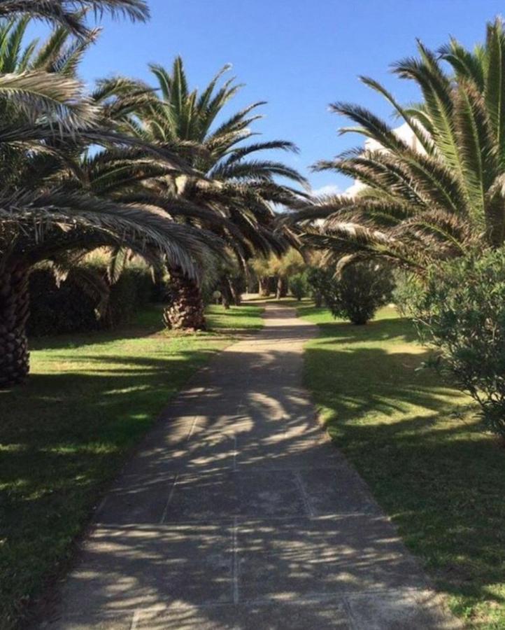 Rez De Jardin + Terrasse Piscine Et Acces Direct Plage Lägenhet Saint-Cyprien  Exteriör bild