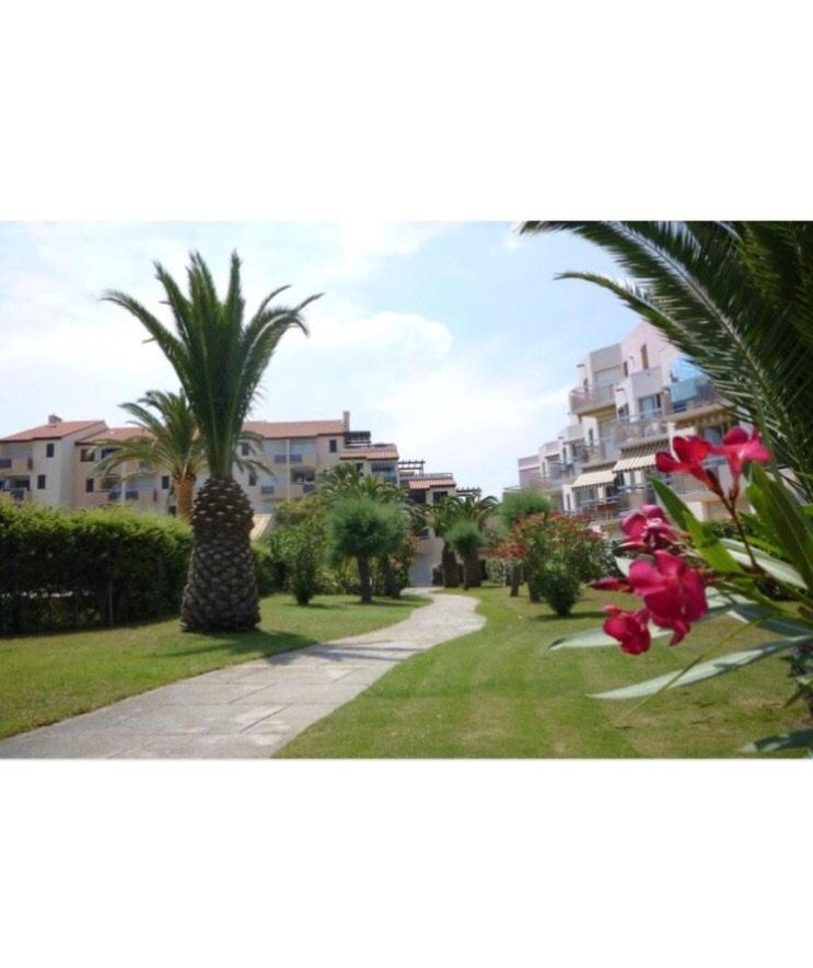 Rez De Jardin + Terrasse Piscine Et Acces Direct Plage Lägenhet Saint-Cyprien  Exteriör bild